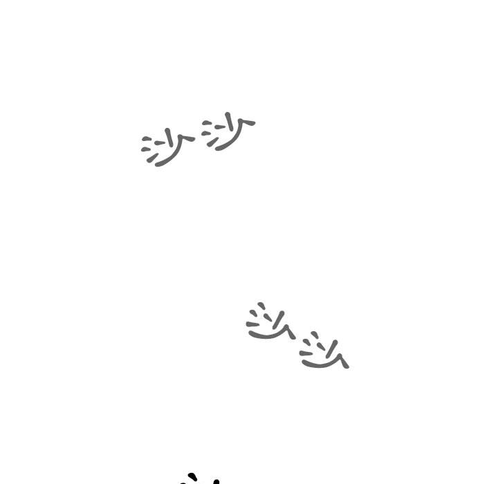 95.jpg