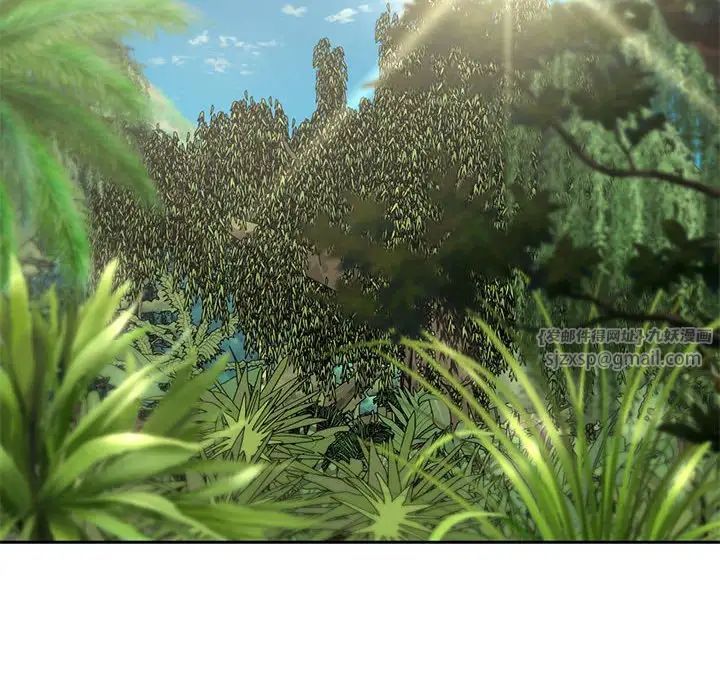41.jpg