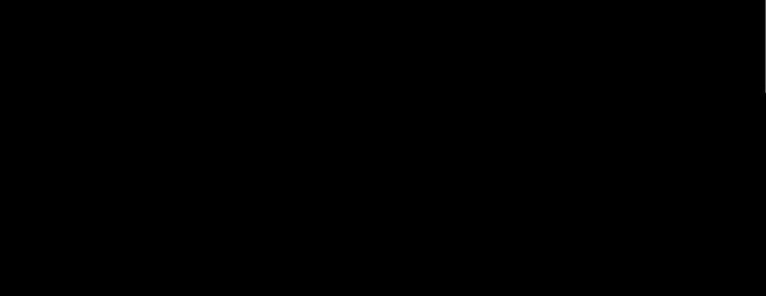 232.jpg
