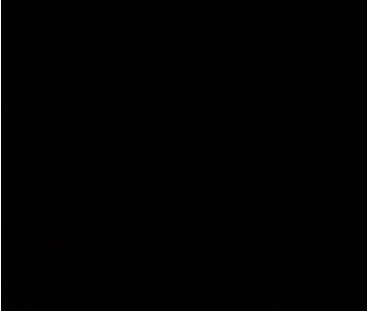244.jpg