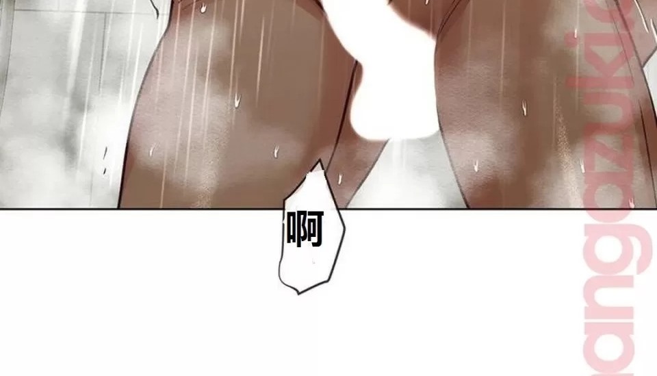 354.jpg