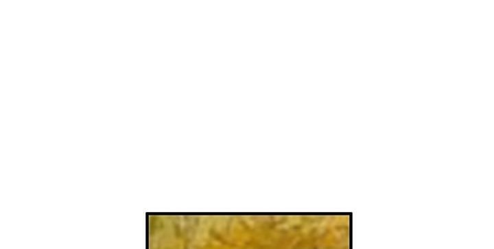 127.jpg