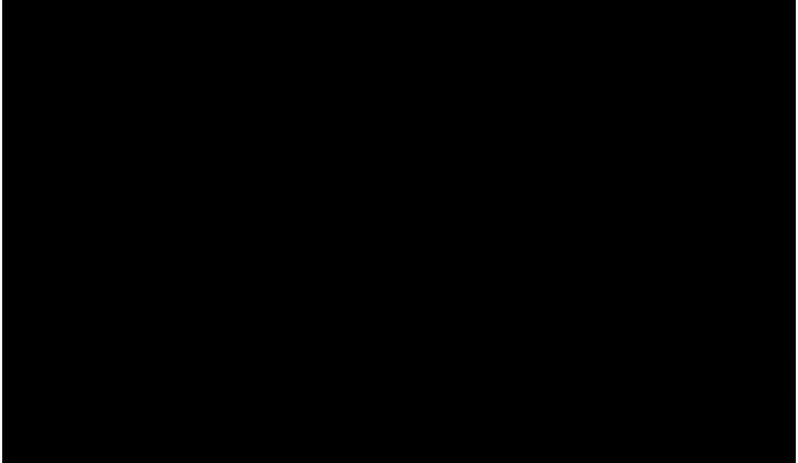 176.jpg