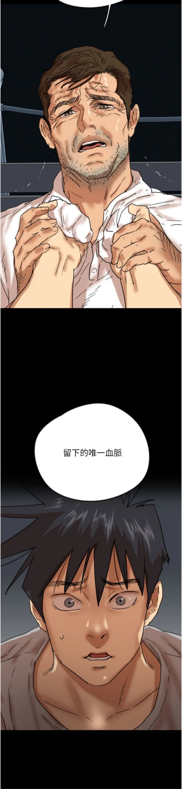 53.jpg