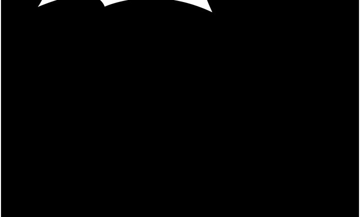 46.jpg