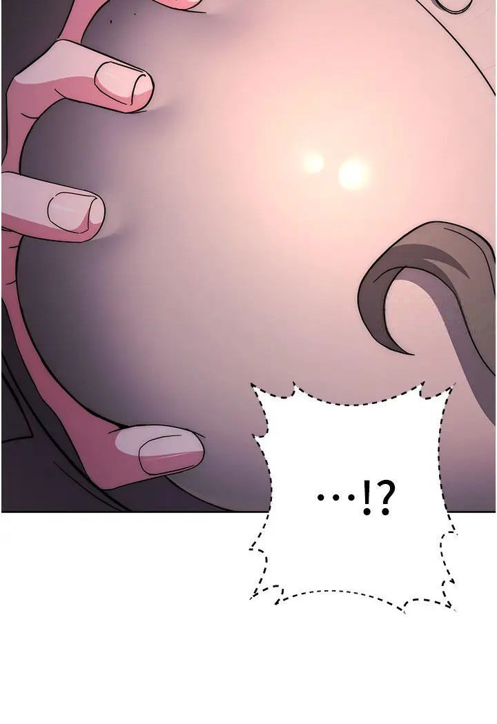 267.jpg