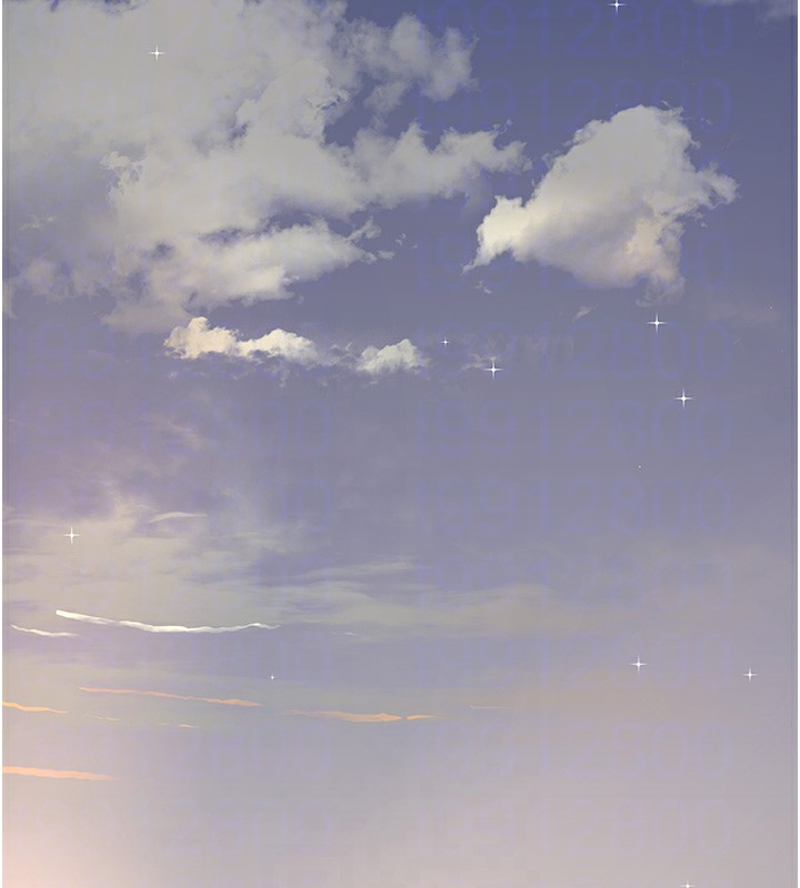 91.jpg