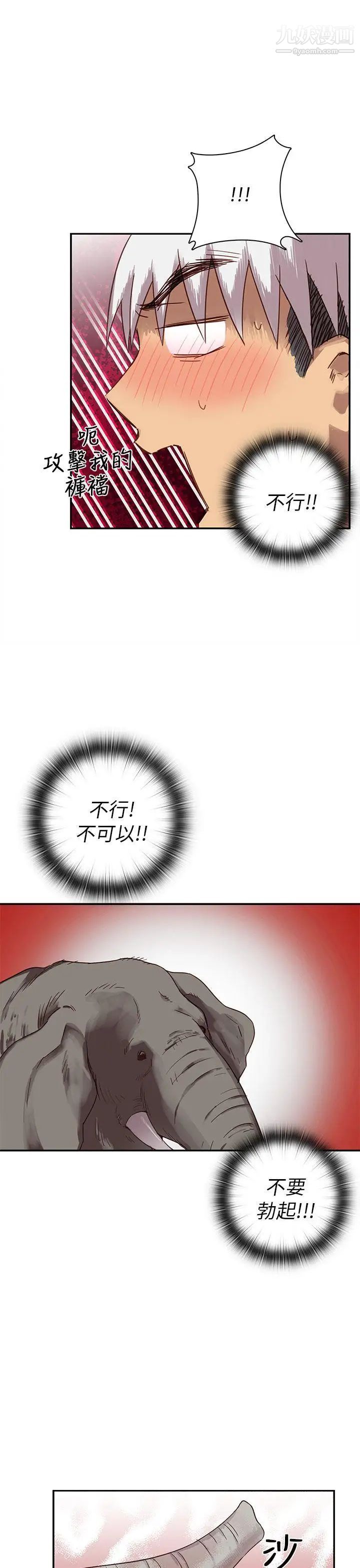 29.jpg