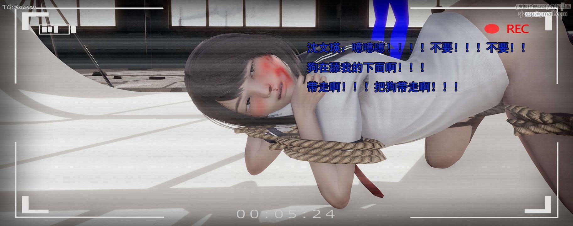 241.jpg
