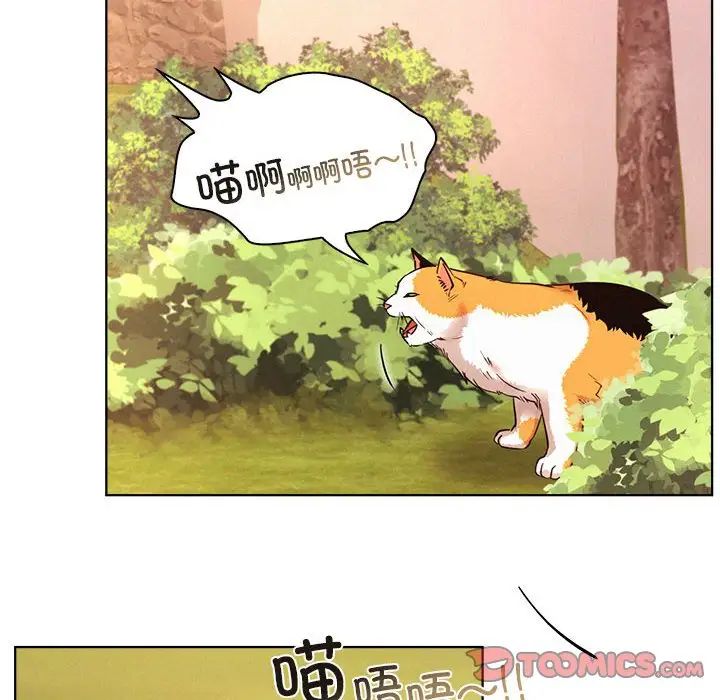 43.jpg