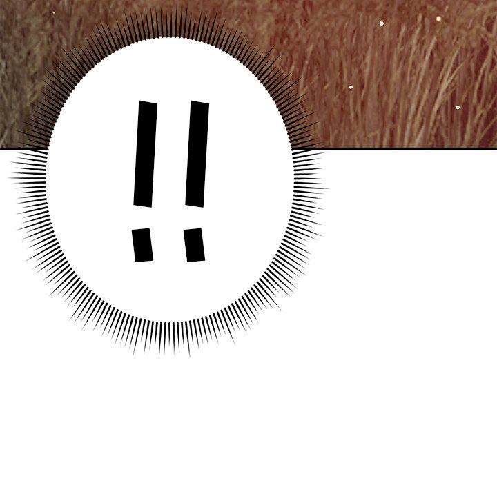 164.jpg
