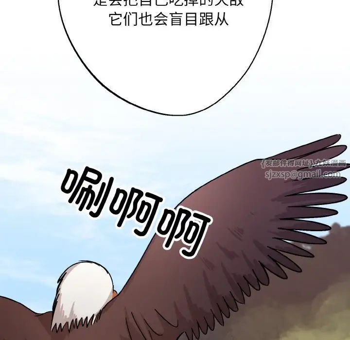 46.jpg
