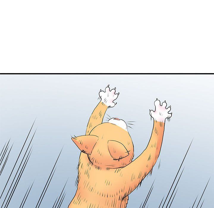 128.jpg