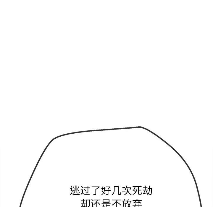 173.jpg