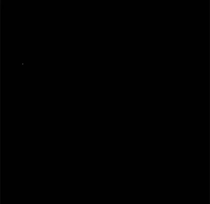 73.jpg