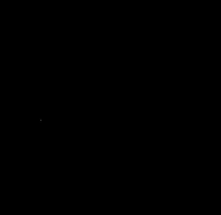 25.jpg