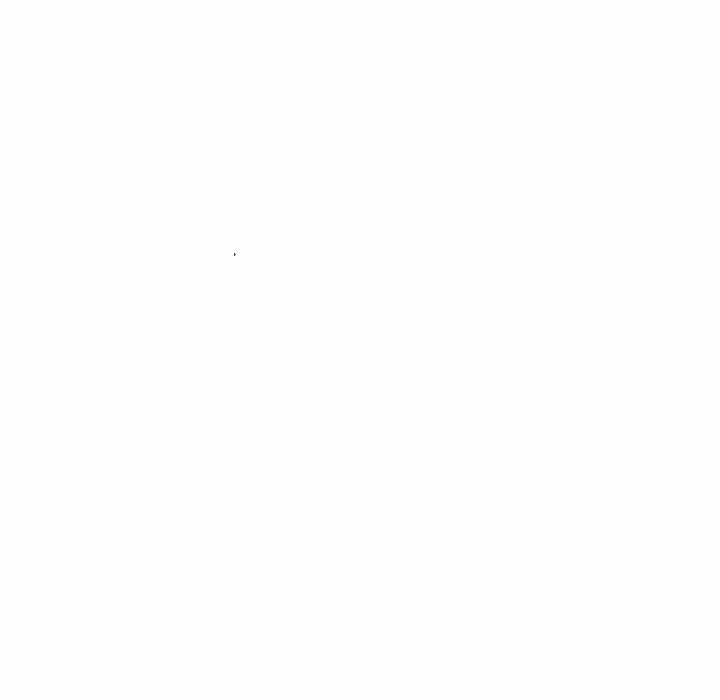 141.jpg