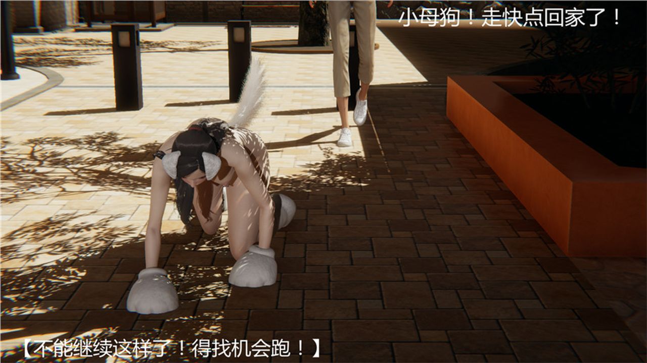 49.jpg