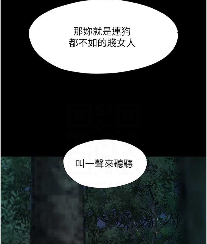 91.jpg