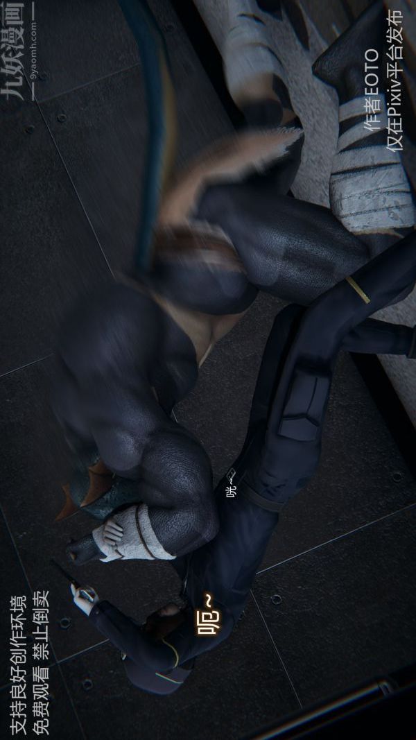 41.jpg