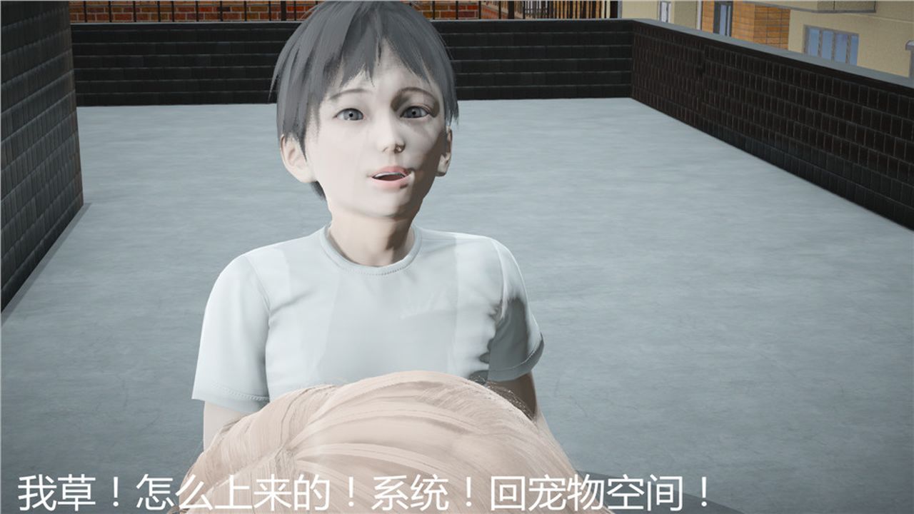 113.jpg