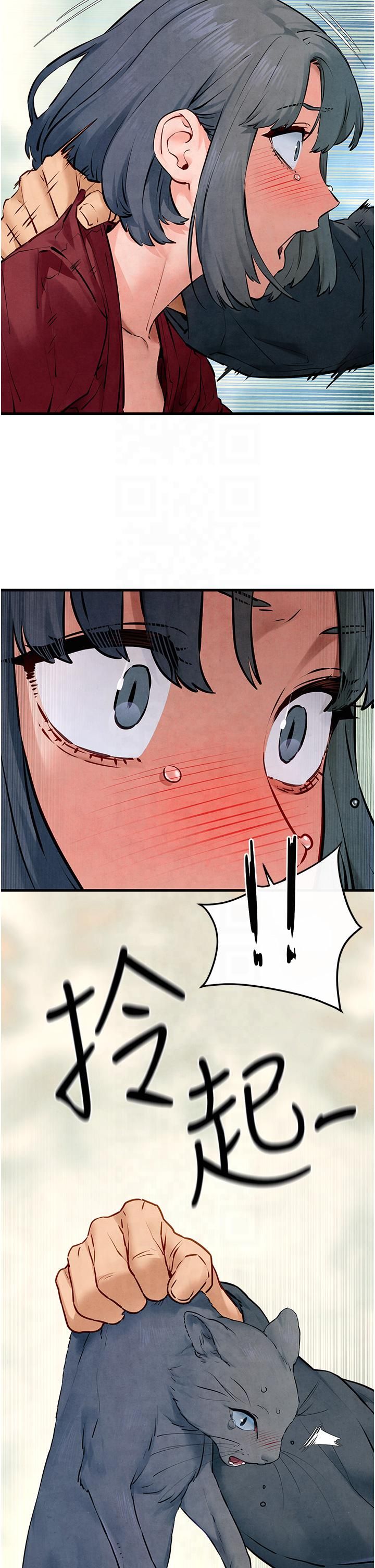 54.jpg