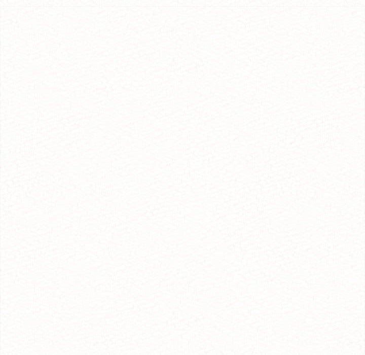 96.jpg