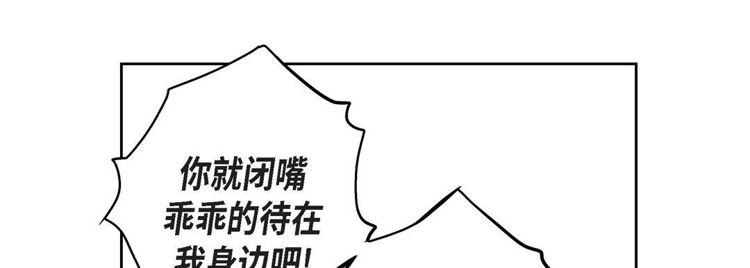 97.jpg