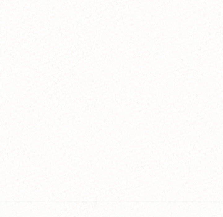 92.jpg