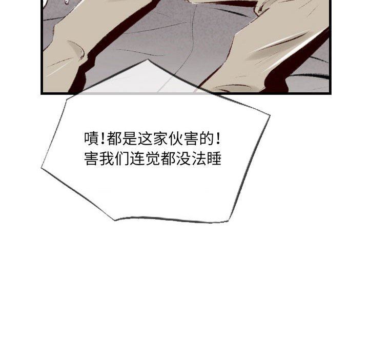 51.jpg