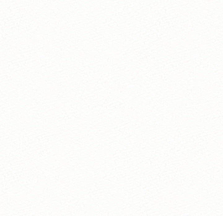 62.jpg