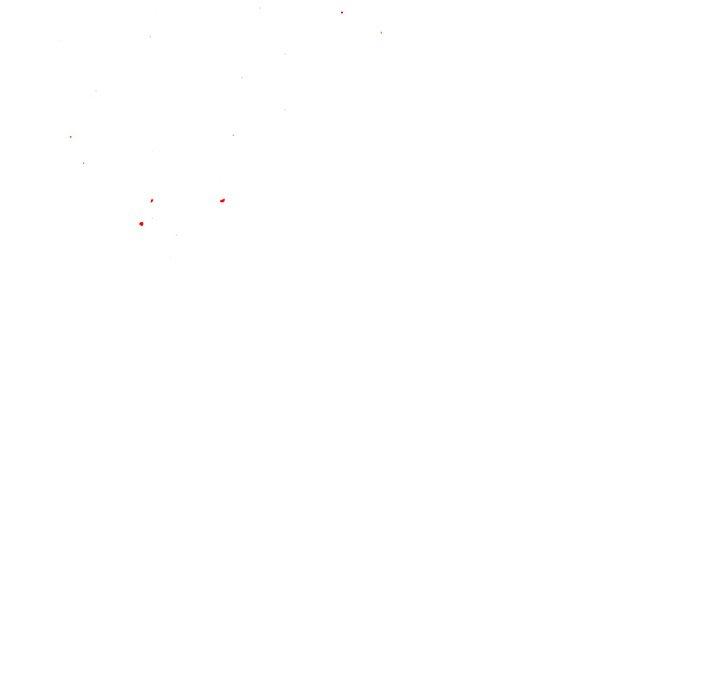 138.jpg