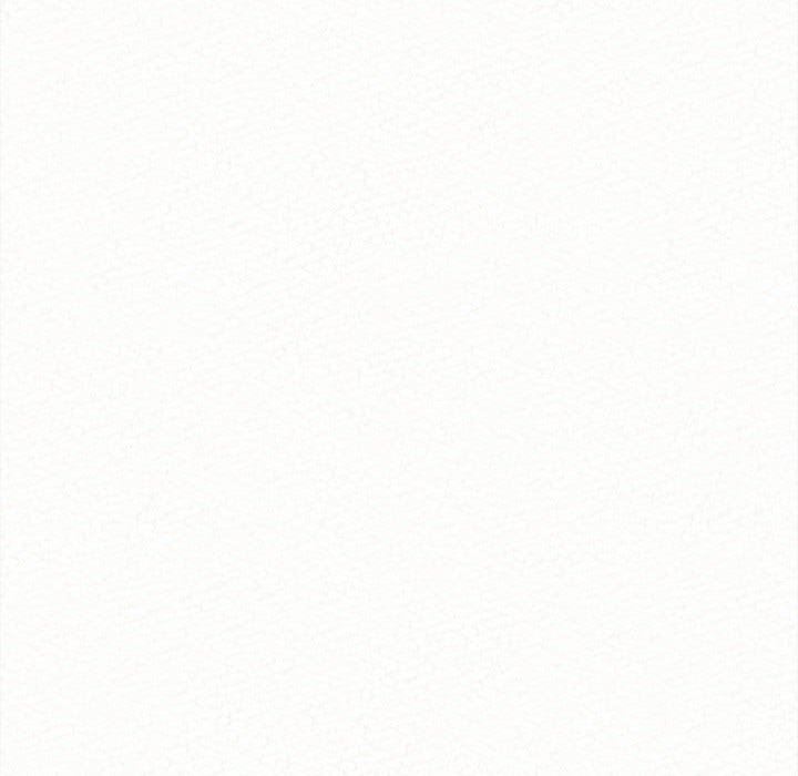 168.jpg