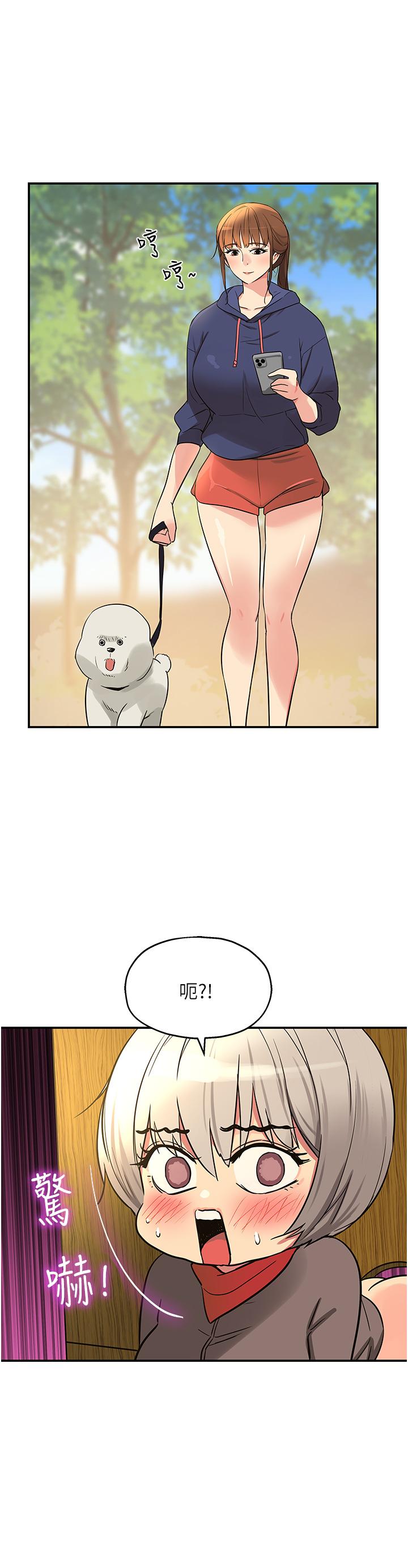 49.jpg