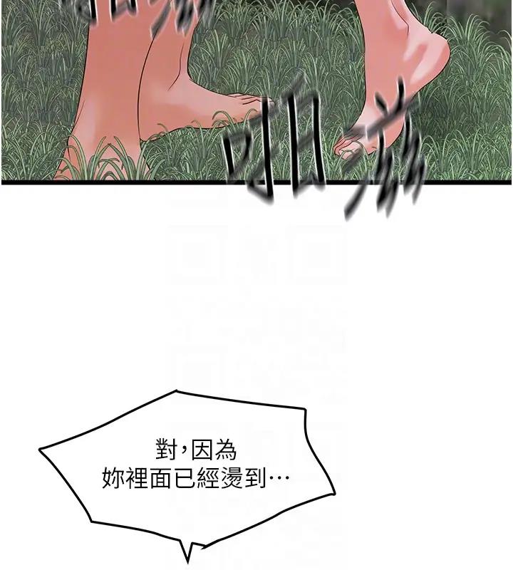 163.jpg