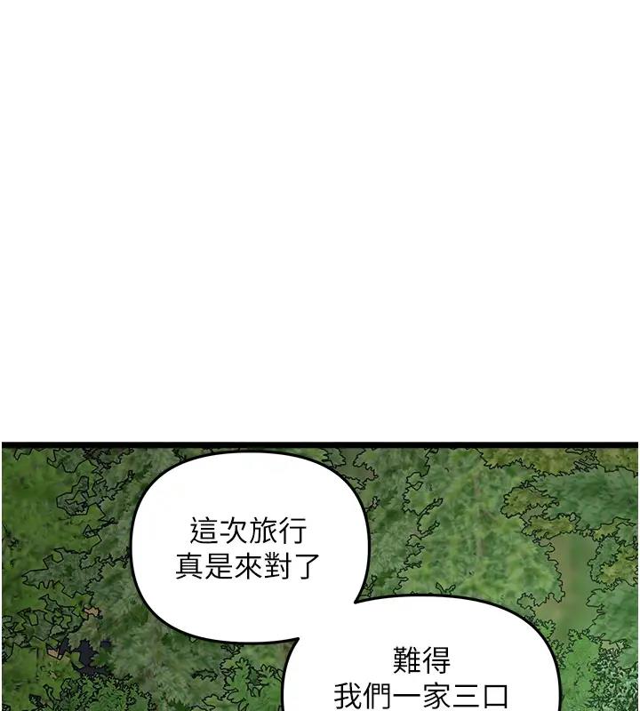 196.jpg