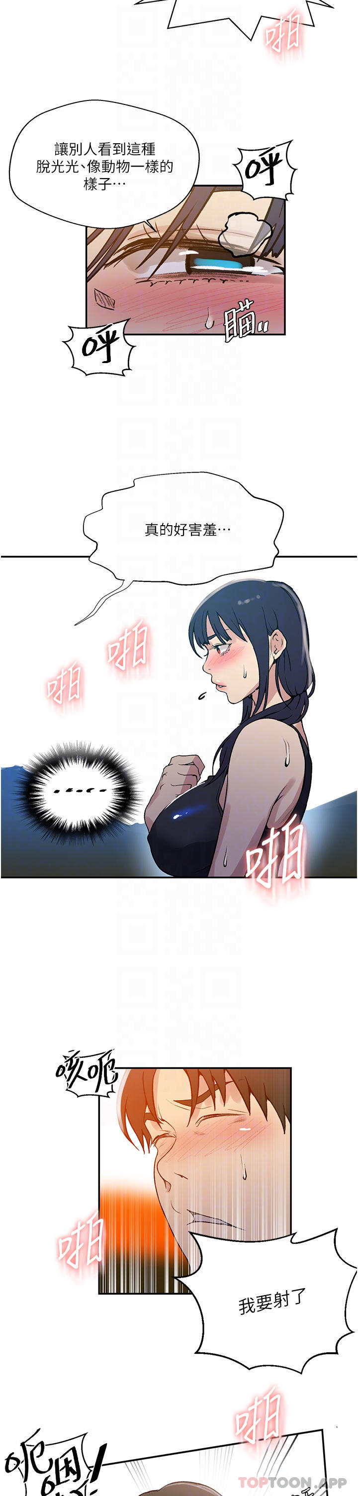 19.jpg