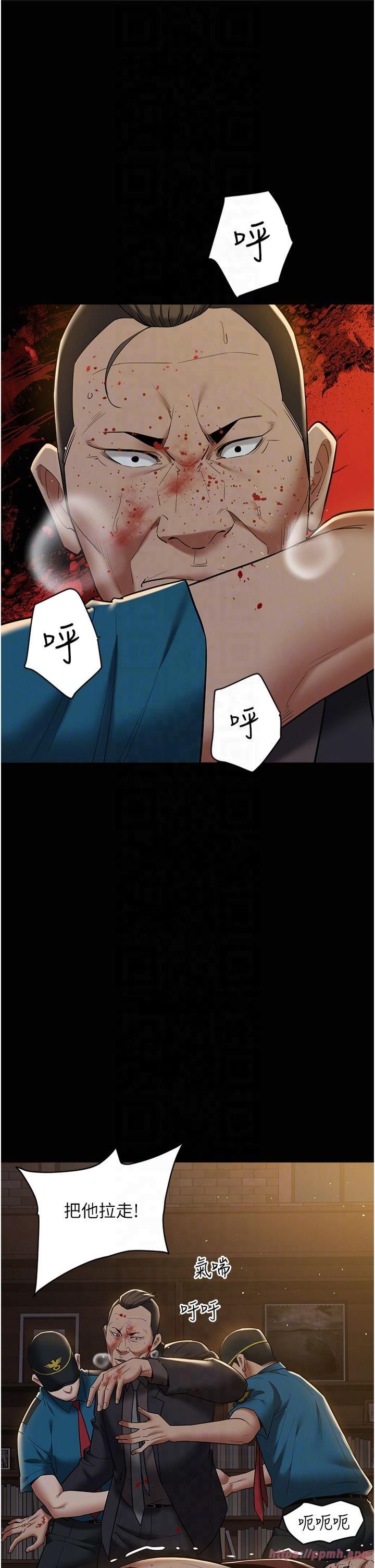 41.jpg