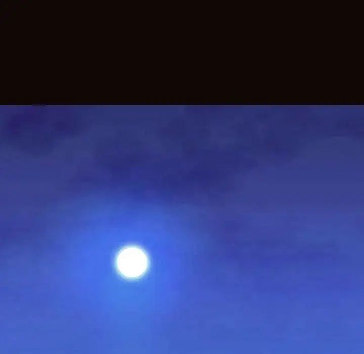 95.jpg