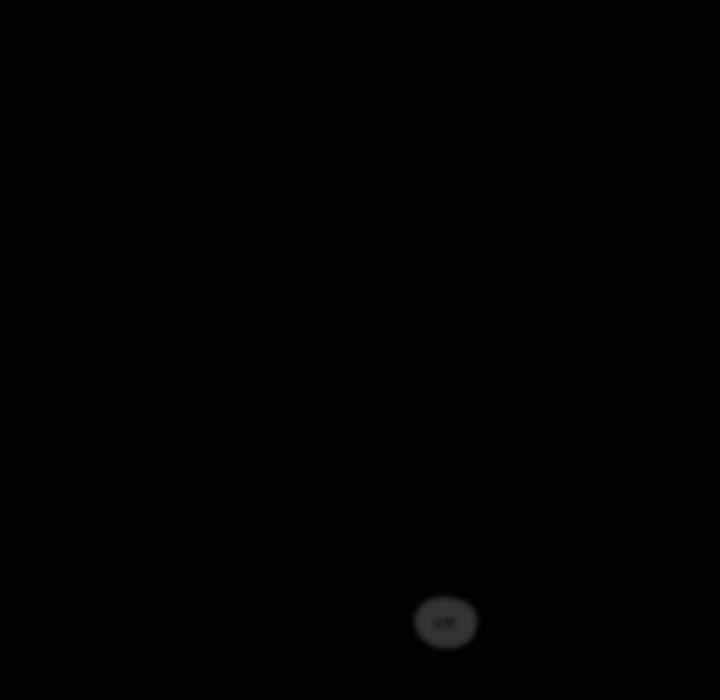 104.jpg