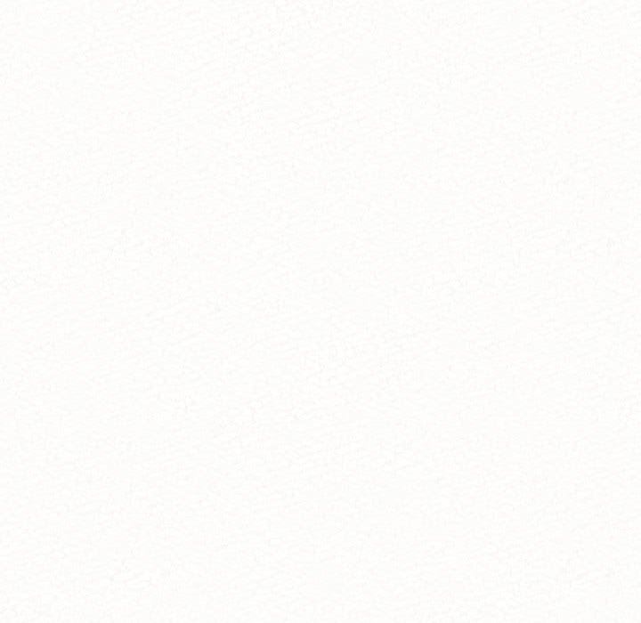 101.jpg
