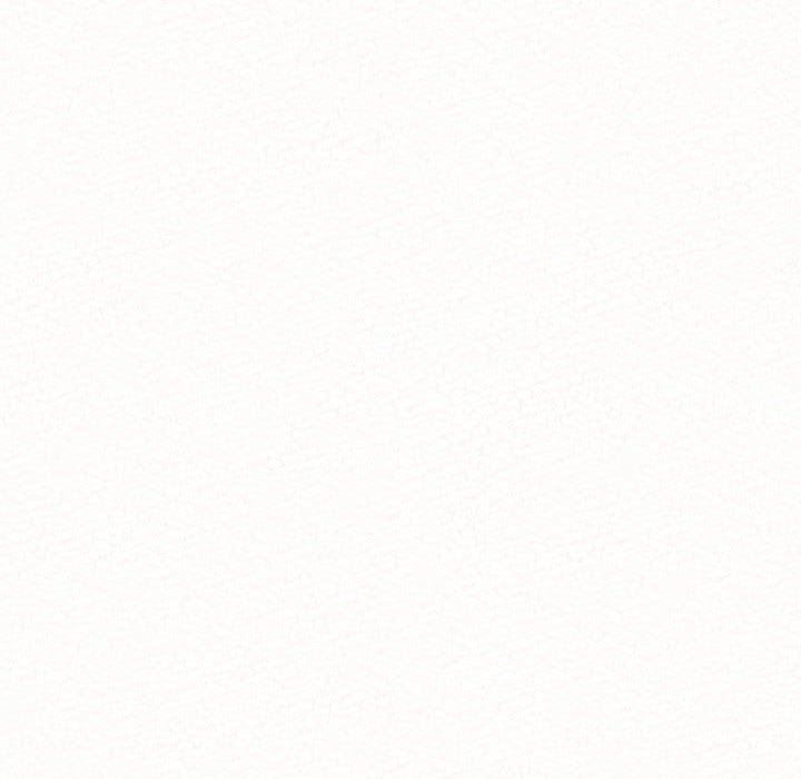 101.jpg