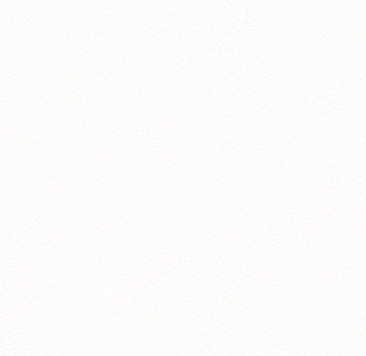 100.jpg