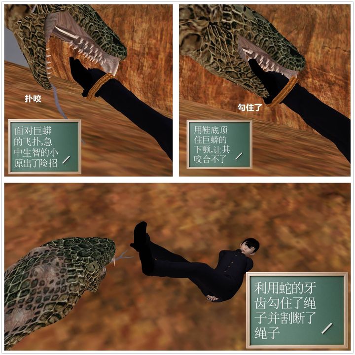 110.jpg