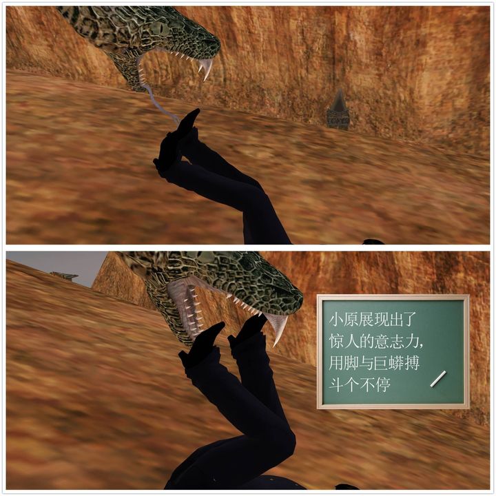 112.jpg