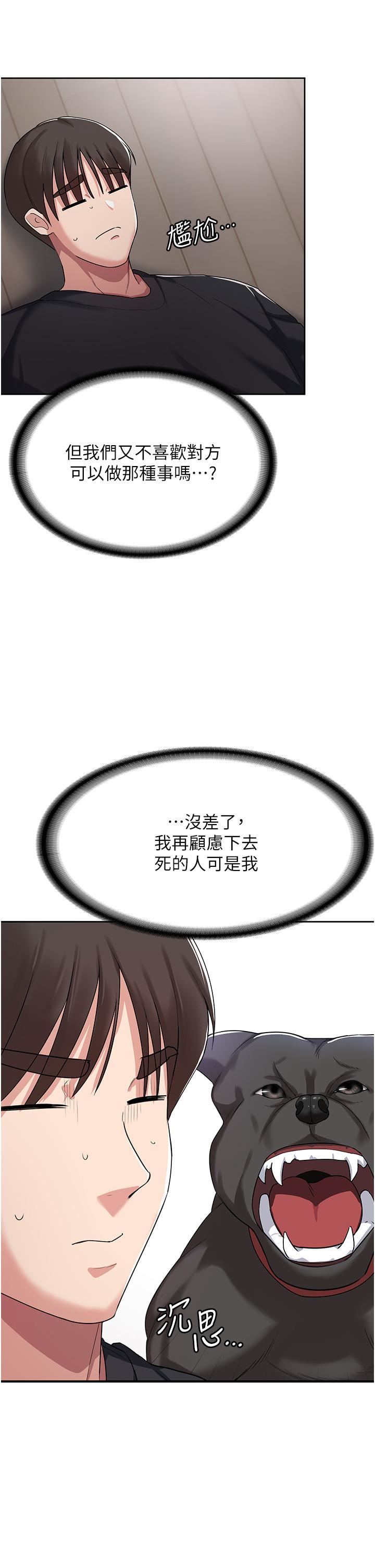 48.jpg