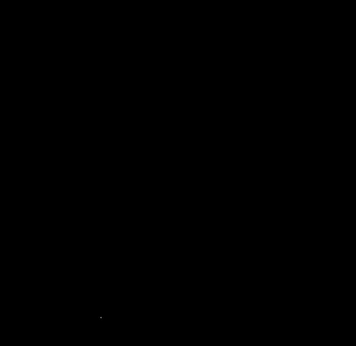 49.jpg