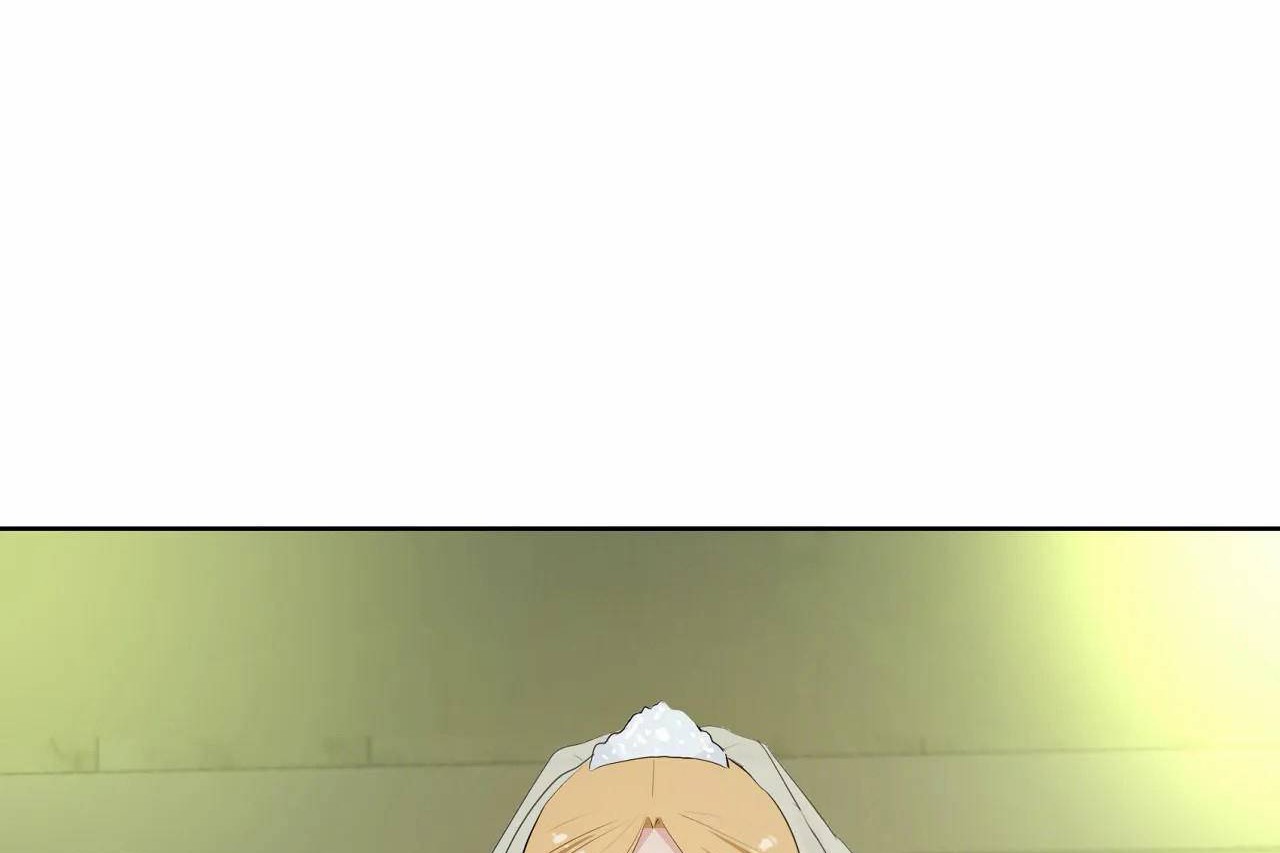 205.jpg