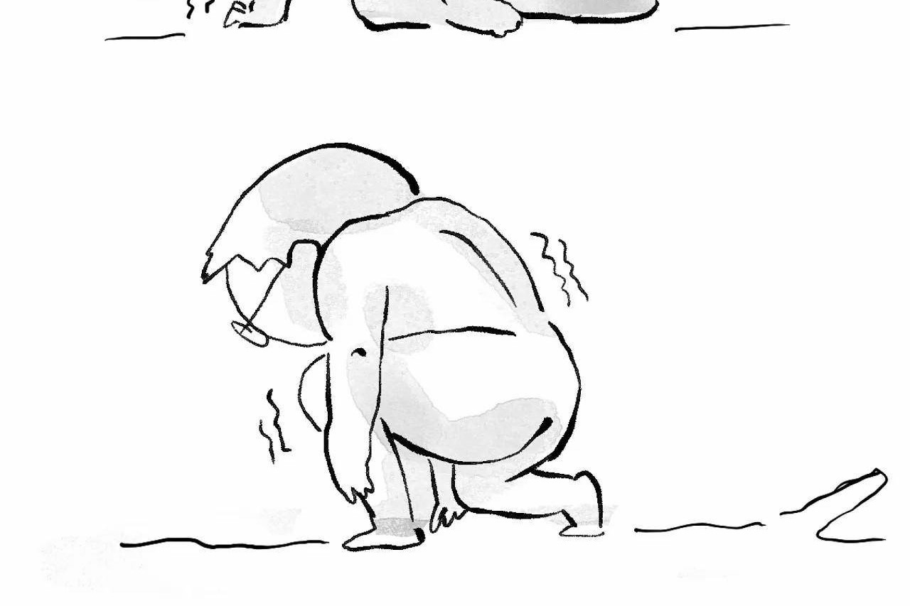 553.jpg
