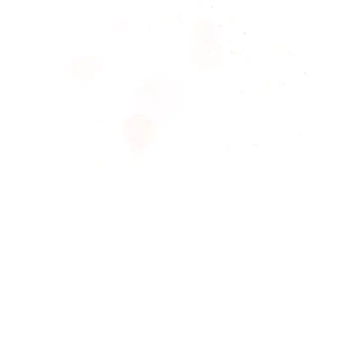 63.jpg